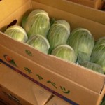 cabbage_product