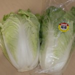 chinesecabbage_product