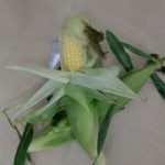 sweetcorn_product